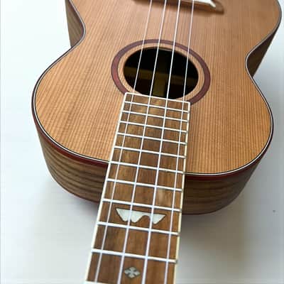 Sound Smith Solid Cedar/Koa 2025 - matte image 10