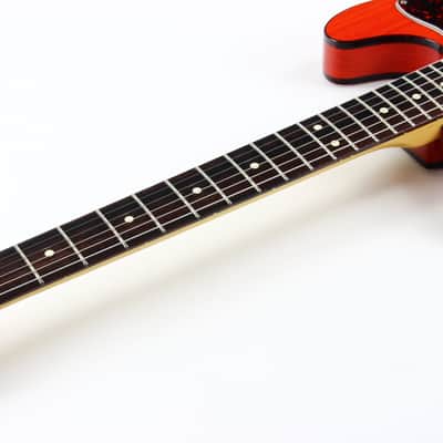 2001 Fender American 90's Telecaster Thinline DOUBLE BOUND TORTOISE Made in USA, ONE-OFF! Matching Headstock! image 12