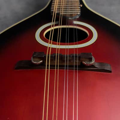 J. Reynolds JRMAN20 A-Style Mandolin image 22