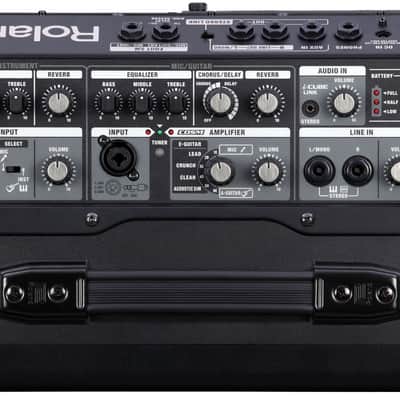 Roland CUBE-STEX Battery Powered Street Amp image 2