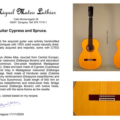 Pegs Flamenco Guitar Cypress and Spruce image 20