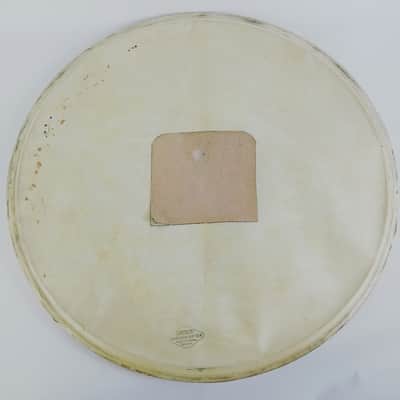 Gretsch 20" Calfskin Broadkaster Bass Drum Head Professional Quality Vintage 50s image 1