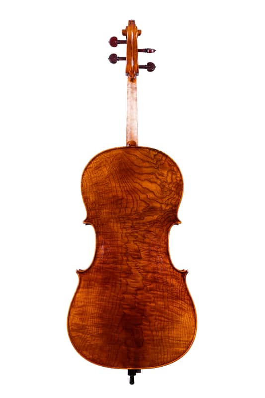 Goffriller Cello 4/4 from One Piece Back - Hand-Made in Romania 2025 #78 image 1