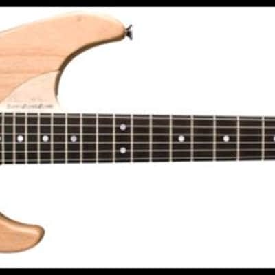 Washburn N4VINTAGE-D Natural Distressed, Nuno Usa Signature Serie w/GCN4 case image 3