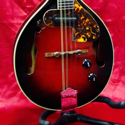 Vintage Early 90's Samick SM20E Electric/Acoustic Mandolin Plays