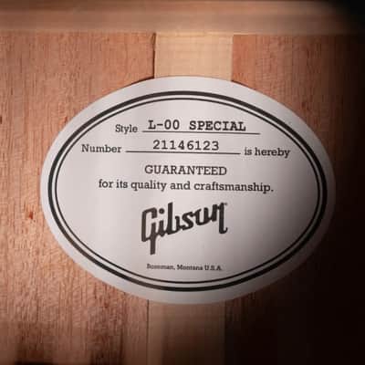 Gibson L-00 Special Parlor Acoustic/Electric Guitar - Ebony Satin with Gig Bag image 15