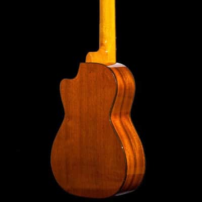 Ohana CK-35GCL Cynthia Lin Solid Gloss Mahogany Concert Ukulele with Case-Blem image 3