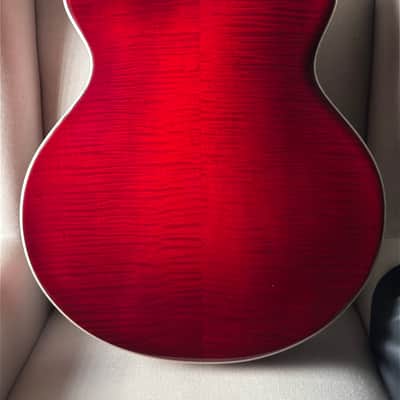 Tad Brown Archtop 16" Acoustic Calton Case image 4