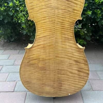 Standard full-scale 6 strings Cello-Arpeggione with 24 sympathetic strings#15388 image 5