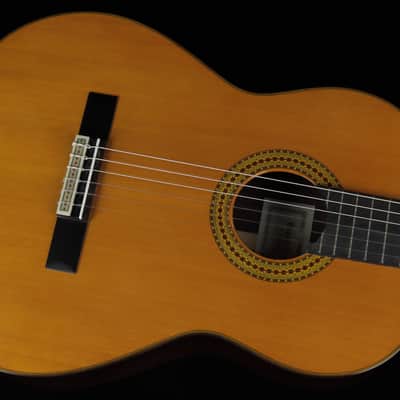 Yamaha GC22C (#294) image 4