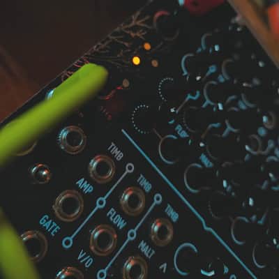 Bizarre  Jezabel Matl 2020 black/gold dual smooth random/ chaos / smooth noise image 3