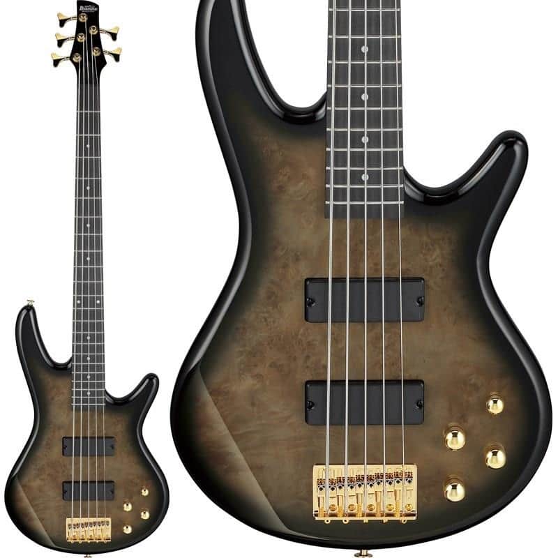 Ibanez GSR205PC-TPB [SPOT MODEL] 【Special Price】 image 1
