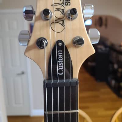 PRS custom 24 SE - Faded Blue & EXTRAS image 4