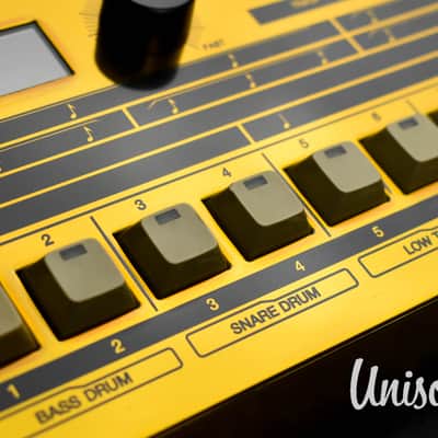 Roland TR-909 Rhythm Composer Rare Gold Edition in Near Mint Condition image 19