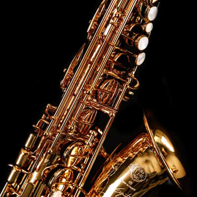 Selmer Paris 82SIGF HSP Professional Alto Saxophone, Vintage Matte image 11