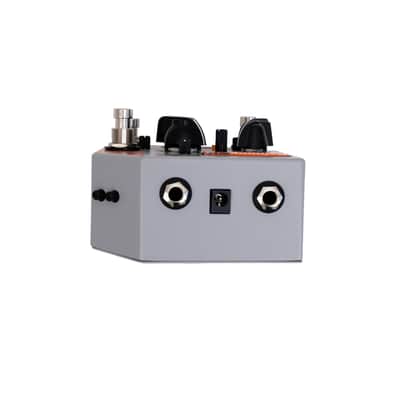 Rainger FX Drone Rainger - Digital Delay image 6