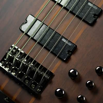 ESP LTD D-6 Natural Satin image 5