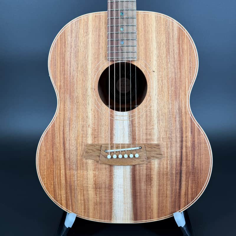 Cole Clark LL2E-BLBL All Blackwood
