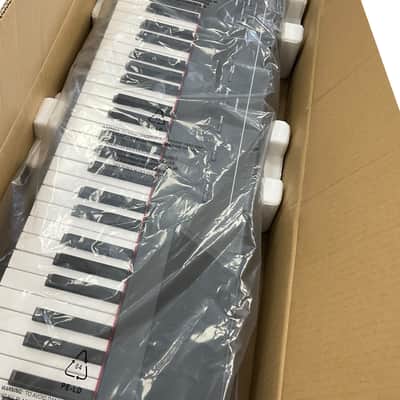 Alesis Recital 88-Key Digital Piano 2010s - Black image 2