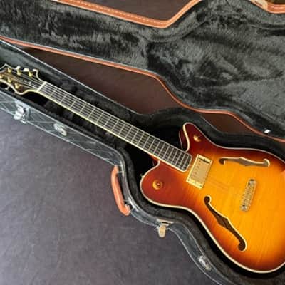 DYNAMIC METROPOLITAIN JAZZ II - Fully Hollow ES Thinline Vintage Sunburst Flametop Guitar by PT Berger image 14