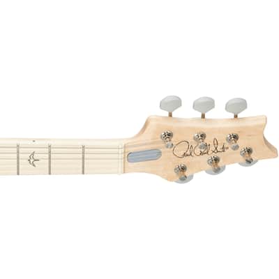 Paul Reed Smith John Mayer Silver Sky Guitar Maple Fretboard - Polar Blue image 8