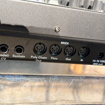 Dave Smith Instruments Prophet 08 PE [MINT!] image 16