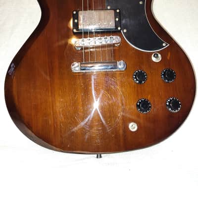 Jay Turser JT50 Set Neck Very Solid Guitar image 2