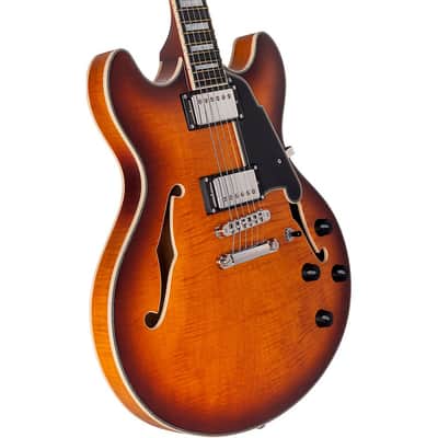 D'Angelico Premier DC Semi-Hollow Electric Guitar Regular Dark Iced Tea Burst image 5