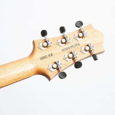 Nik Huber Rietbergen Standard Electric Guitar, Adam Miller Custom Signature image 14
