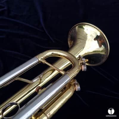 Vincent Bach TR200 Step-Up Bb Trumpet  Lacquered Brass gamonbrass image 8