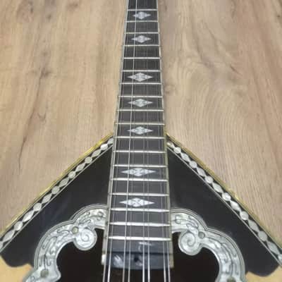 Greek Bouzouki & Hardcase & pickup & tuner & 300 MP3 backing track with pdf scores 8string image 6