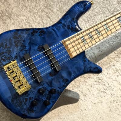 Spector Euro 5 CST Black & Blue w/White Back Gloss [3.98kg] image 5