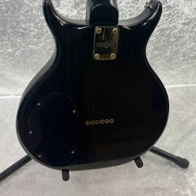 Washburn Raven electric guitar / flaming eagle refinish + Tweed case image 5