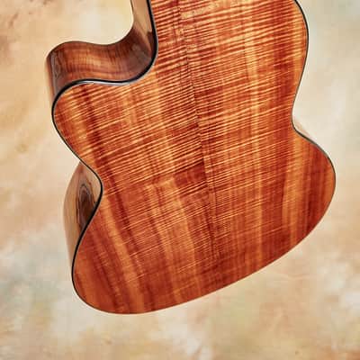 Linda Manzer Fanfret Baritone Acoustic image 18