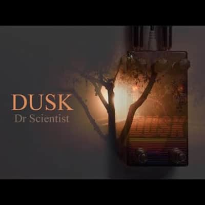 Dr Scientist Dusk Filter Pedal Digitally Controlled Analog Filter Has 3 Filter Modes+6 LFO Waveforms image 6