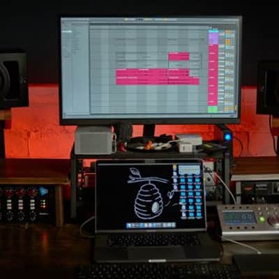 Kali Audio IN-5 5" 240 Watt 3-Way Powered Studio Monitor image 10