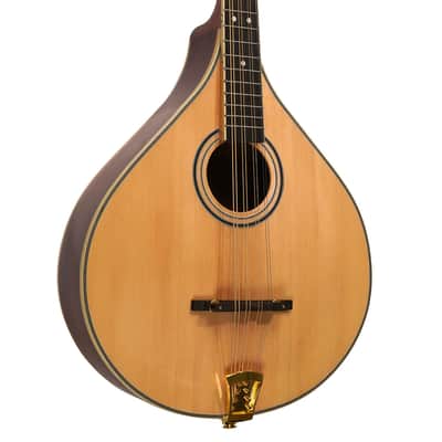 Gold Tone OM-800+/L Arched Solid Spruce Octave&Mahogany Neck Mandolin w/Hard Case For Lefty Players image 4