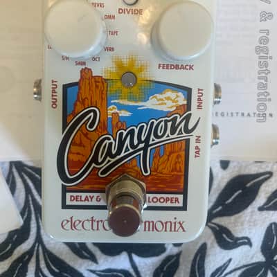 Electro-Harmonix Canyon 2017 - Present - White image 2