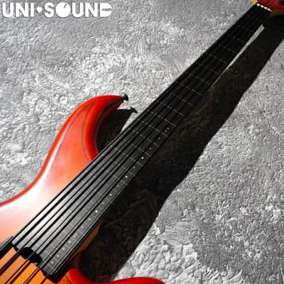 F Bass Alain Caron Signature AC-5 AC5 Fretless image 4