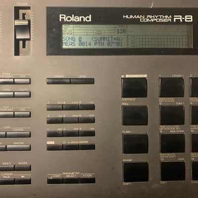 Roland R-8 mkI with Ethnic Percussion Card image 3