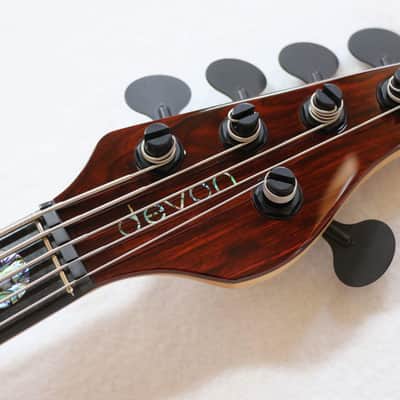 Phenomenal Custom Devon Modern J5 with Cocobolo top Loaded. image 6