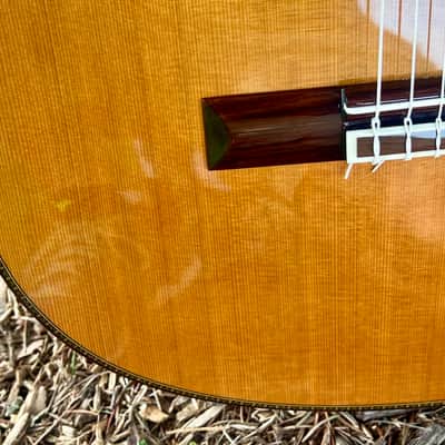 Yamaha GC-41C Grand Concert Classical Acoustic Guitar image 7