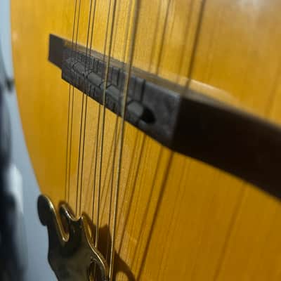 CELTIC STAR ELECTRO ACOUSTIC BOUZOUKI / MANDOLA / MANDOLIN image 10
