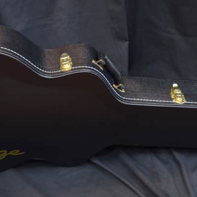 NEW 2018 Prestige Musician Pro DC VB Vintage Burst Semi Hollow Electric Guitar w/ Hard Case image 13