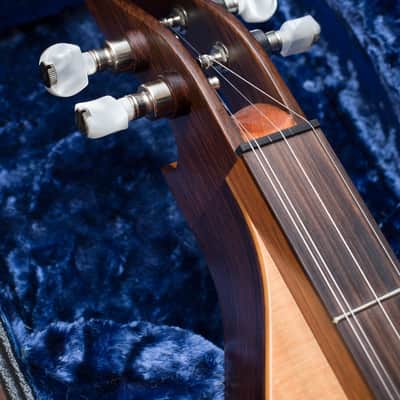 Blue Lion IIRS Mountain Dulcimer, mfg. 2000, Natural Satin w/ rare Brass Rosettes, image 3