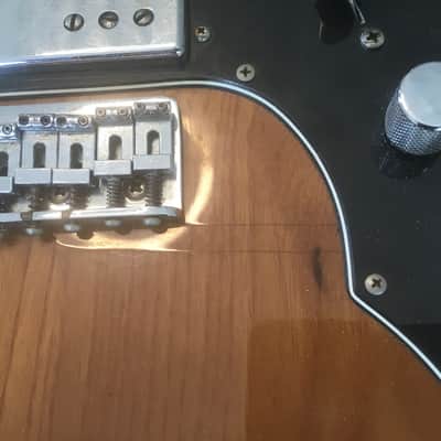 Fender Telecaster Thinline 1973 - 1978 - Walnut (Mocha) image 14