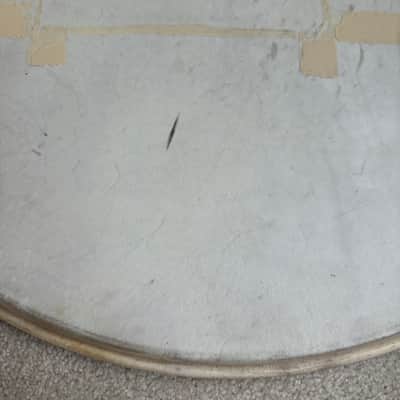 Slingerland Vintage Radio King 24” Genuine Calf Skin Bass Drum Head Lot #2 40s - Calfskin image 7