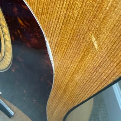 Garrison G25 Dreadnought Acoustic Guitar with extras image 14