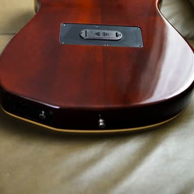 Godin Multiac Steel Duet image 2