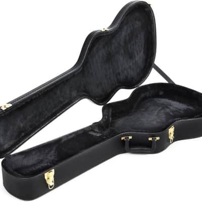 Ibanez AEG10C Hardshell Acoustic Guitar Case - AEG Series image 2